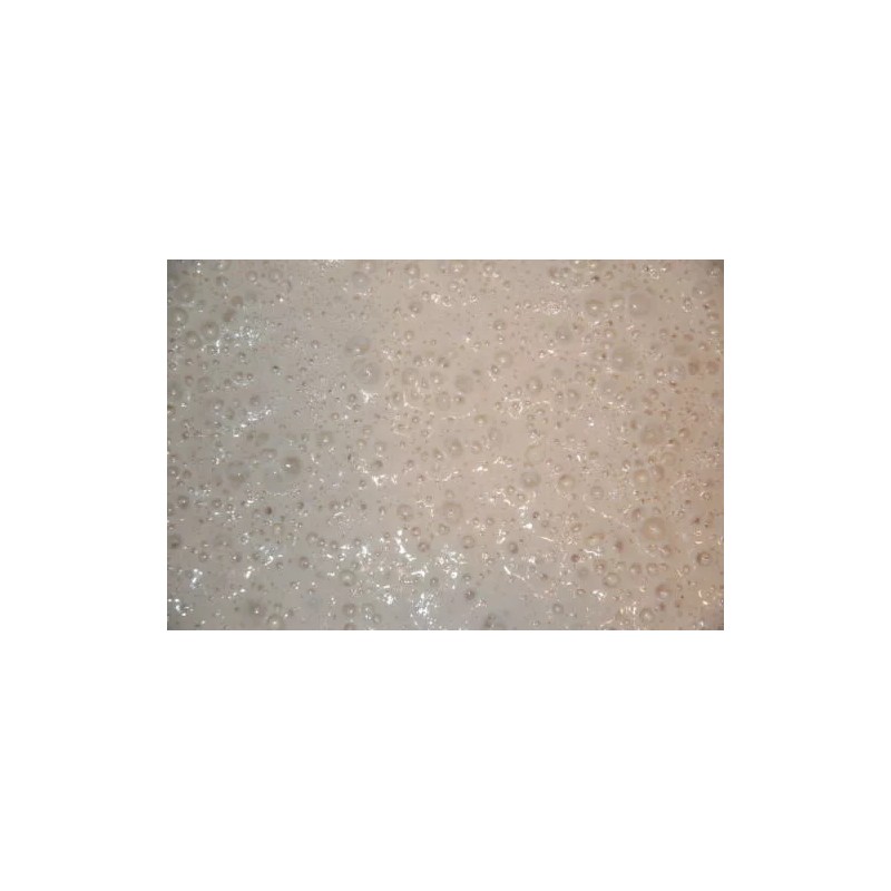 Unbranded SAN FRANCISCO SOURDOUGH PIZZA dough YEAST STARTER , sally