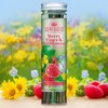 NEW Scentsicles Berry Vines & Wildflowers Scented Sticks with 2