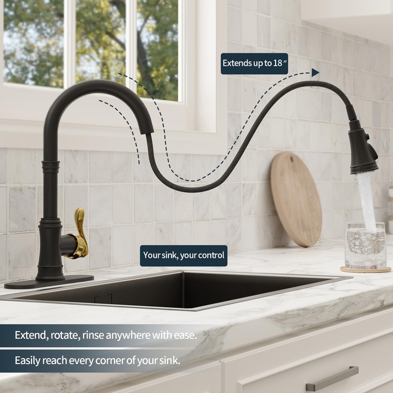 BWE Black Kitchen Faucet with Pull Down Sprayer and Gold