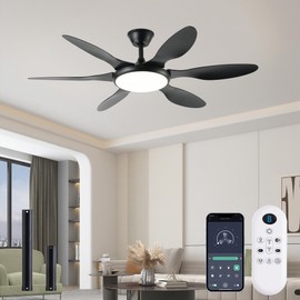 FUMLTP Ceiling Fans with Lights, 51 Inch Ceiling Fan with Light and Remote Control, Reversible, 3CCT, Dimmable, Noiseless, LED Black Ceiling Fan for Bedroom, Living Room, Indoor/Outdoor Use