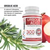 MAAC10 Ursolic Acid 300mg - Sourced from Rosemary Extract, AMPK