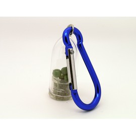 Pearls Live Succulent Terrarium Plant with Mini Blue Clip