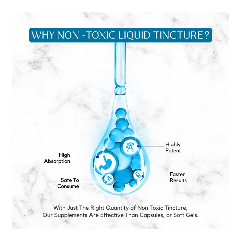 Absonutrix French Maritime Pine Bark Extract 590 mg, 4 Fl