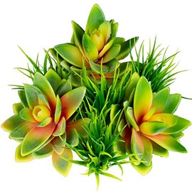 SEEKO Succulents - Premium Fake Succulent Pack - Fills 5-6" Pots and Planters with Realistic Fake Succulents and Artificial Grass Accent Pieces (Yellow/Green)