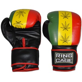 Gym Training Stand-Up Boxing Gloves - Rastafarian (16oz-Large)