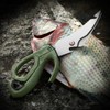 Stainless Steel Kitchen Scissors Multipurpose Detachable Fish Scissors for Kitchen