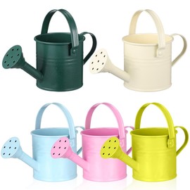 5 Pack Small Metal Watering Cans for Kids, Toy mini Watering can