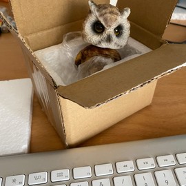 Objectz Bobble Head Figurine Small Owl Brown - Owl Figurine for Car or Garden Decoration