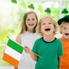 WEITBF 12 Pack 8×12 Inch Ireland Flags Small Irish Flags