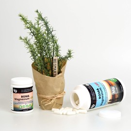 Boma Lecithin Magnesium 300+ Complex Pure Elementary Magnesium from Magnesium Pidolate and Magnesium Oxide | 60 Capsules Vegan