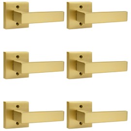 Probrico 6 Pack Inactive Square Door Lever, Single Side Gold Door Handles for Interior Doors(Exposed Screws)