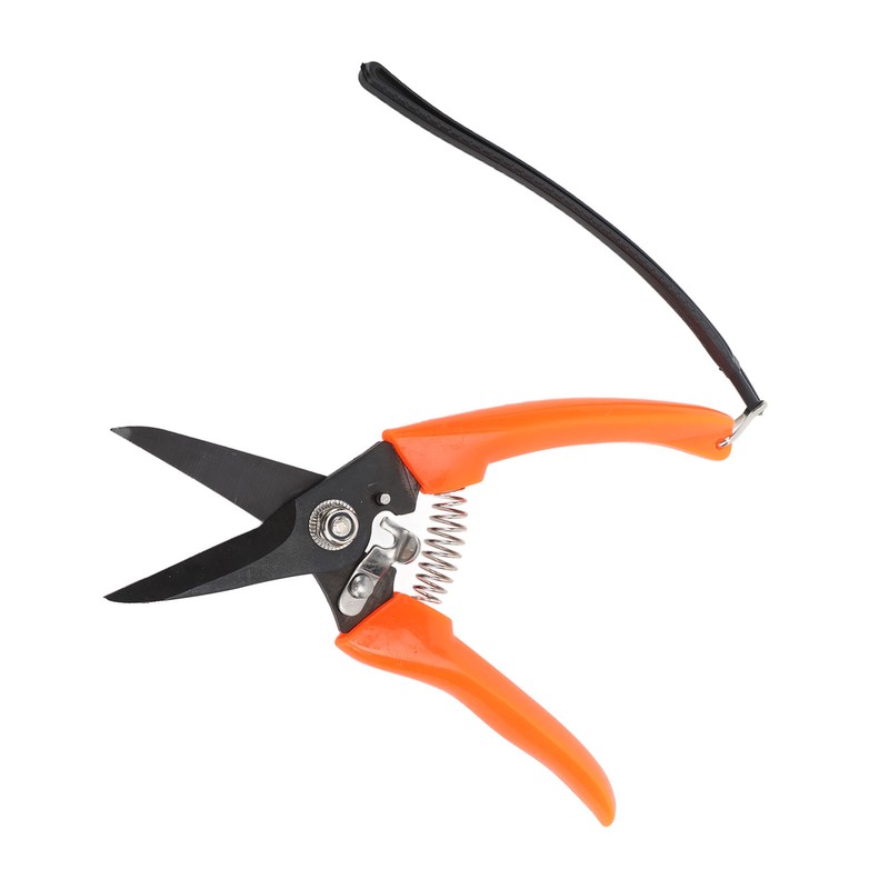 Hoof Shear Red Stainless Steel High Carbon Steel Multifunctional Hoof