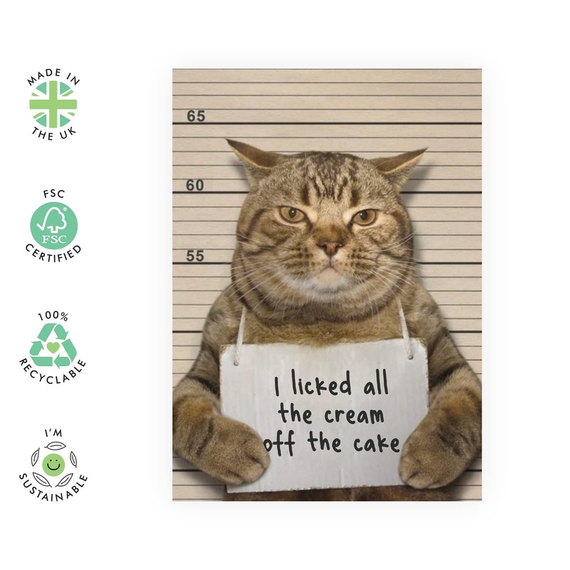 Funny Cat Birthday Card - Cute Greeting Cards From Pet