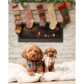 Remy+Roo - Bandanas para perro, paquete de 2 | Juego de cuadros navideños, tela duradera de alta calidad, forma única, ajuste ajustable, varios tamaños ofrecidos (pequeño)