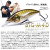 Megabass Big-M Big M Lure, 4.0 GG, Large Mouth