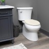 Mayfair Cameron Biscuit Toilet Seat, Non Slip Heavy Duty Wood,