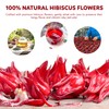 Indochine Blends Hibiscus Tea Bags | 100% Pure Hibiscus Flower