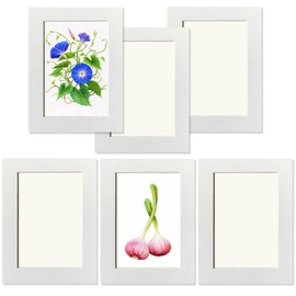 Haojiaho Picture Frame for Exhibition, Set of 6, 5.4 x 7.4 inches (13.8 x 18.8 cm), Cardboard, Children's Picture Frame, Wall Hanging, Ultra Lightweight, White, Painting Classroom, Picture Exhibition,