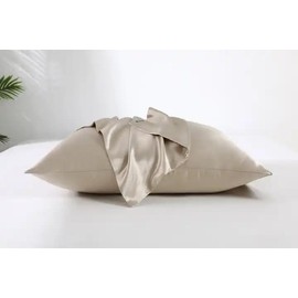Silk Pillowcase 65 x 65 cm, Anti-Wrinkle, Mite-Proof and Non-Absorbent, 100% Silk for Healthy Hair and Skin (Nude)