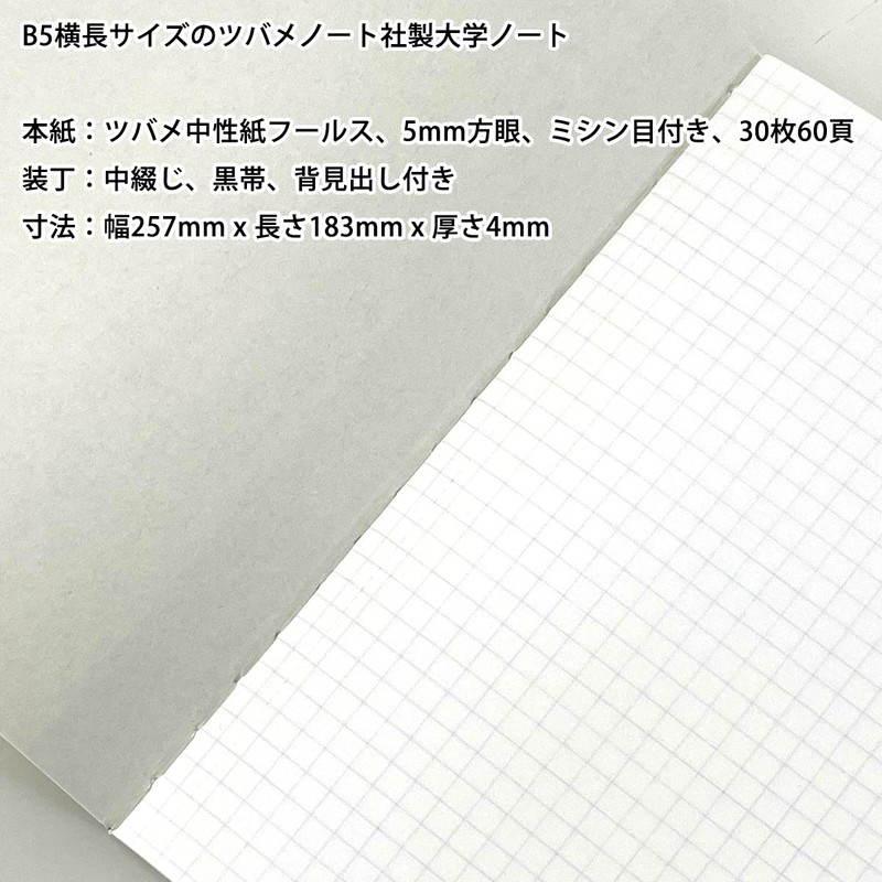 ReUdo Thinking Power Notebook Metropolitan (B5 Note Landscape) 2 Books