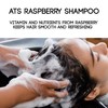 ATS Raspberry Shampoo, 50.7 fl. oz, 1,000ml, Moisturizing, Refreshing and