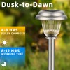 DERAYSION Solar Lights Outdoor Waterproof, Brushed Stainless Steel Glass Solar