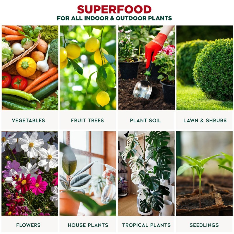 GARDENERA Premium Organic Seaweed & Kelp Superfood for Indoor Plants