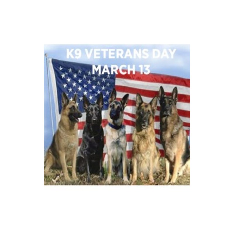 BLACKWATER Patch Ships FREE!