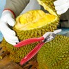 Kichvoe Durian Opener Hand Tools Durian Peel Breaking Tool Fruit