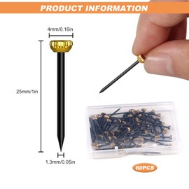 Picture Hanging Nails, 60pcs Wall Picture Pins Brass Head Masonry Pin Nails with Storage Box for Hanging Pictures Photo Frames