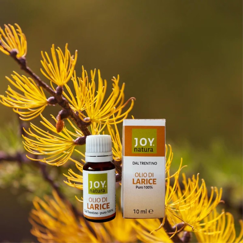 Joy Natura ALCHIA 100% Pure Larch Oil 20 ml Ideal