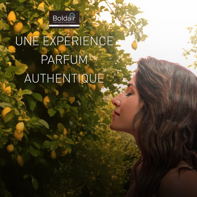 boldair Lufterfrischer Zesten Samen