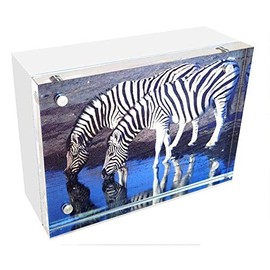 Canetti White Wood Back Magnet Frame 2.5x3.5 inch