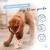 Benebone - Fishbone Puppy 2-Pack Mini 12 cm - (81005421033)