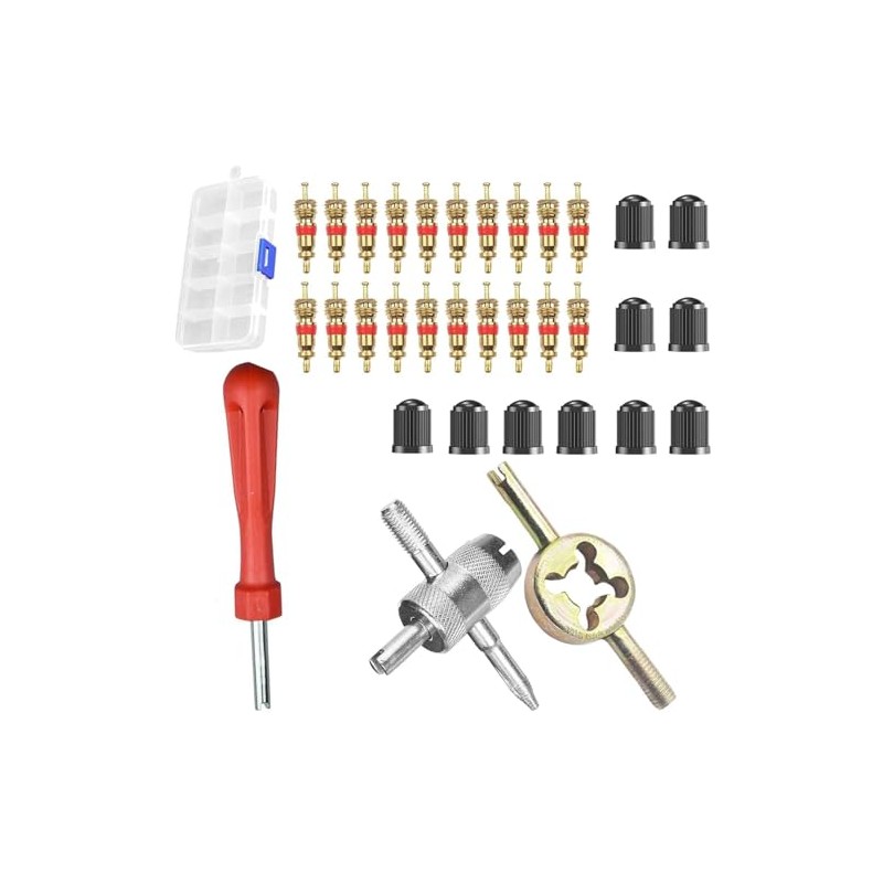 JOYVOX 33-Pcs Tire Valve Repair Kit with Core Remover &