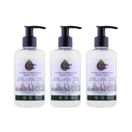 Clean Wise Odor Eliminating Hand Soap, Clean Citrus, 8 fl oz (3 Pack, Lavender)