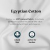 White Queen Sheets Set - 100% Egyptian Cotton Sheets Set