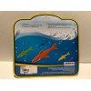 Playtek, LLC POOL TOYS BEACH TOYS Playtek Set of 4