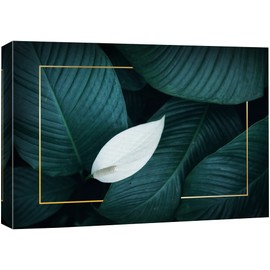 NWT Canvas Print Wall Art White Petal Drops Down Over Banana Leaves Nature Wilderness Illustrations Modern Art Rustic Scenic Colorful Multicolor Ultra for Living Room, Bedroom, Office - 12"x18"