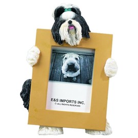 Shih Tzu, Black and White Picture Frame Holds Your Favorite 2.5 by 3.5 Inch Photo, Hand Painted Realistic Looking Shih Tzu Stands 6 Inches Tall Holding Beautifully Crafted Frame, Unique and Special Shih Tzu Gifts for Shih Tzu Owners