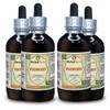 Figwort (Scrophulara Nodosa) Tincture, Organic Dried Herb Liquid Extract (Brand