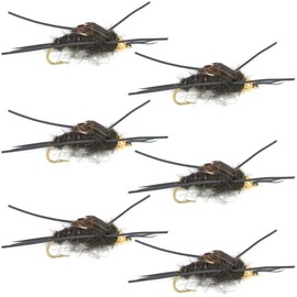 The Fly Fishing Place Bead Head Nymph Fly Fishing Flies - Kaufmann's Black Stone Fly with Rubber Legs - Stonefly Wet Fly - 6 Flies Hook Size 8