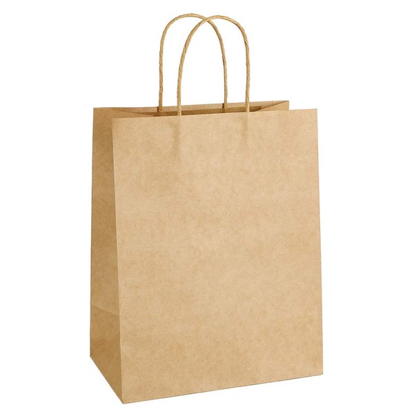 100pcs Kraft Paper Bags 7.9x4.25x10.6" Gift Bag with Handles for Wedding Party Craft Retail Packaging,Recycled Twist handles Brown Shopping Bags (Brown,S-100)