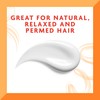 Cantu Shea Butter Daily Oil Moisturizer, 13 Ounce by Cantu