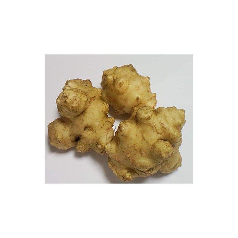 Kikuimo Powder Produced in Miyazaki Prefecture, No Pesticides, Sterile Powder
