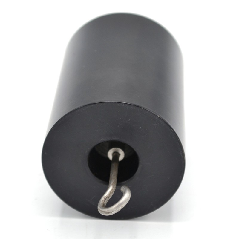 Double Hooked Iron Weight 1000 Grams (2.2 Lbs.) - Eisco