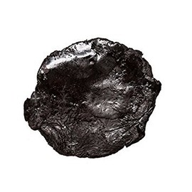 Plum Dragon Herbs Shu Di Huang Herb | Prepared Rehmannia Root Chinese Herb | Rehmannia Glutinosa | Chinese Herb (1 Oz)