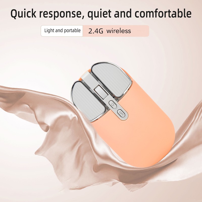 Wireless Mouse BT5.1 Or 2.4GHz Silent Click Adjustable DPI 500mAh