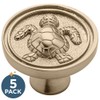 Franklin Brass Seaside Cottage Turtle (5-Pack) Cabinet Knobs Champagne Bronze