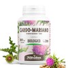 Cardo Mariano Bio - 300mg - 200 capsule vegetali -